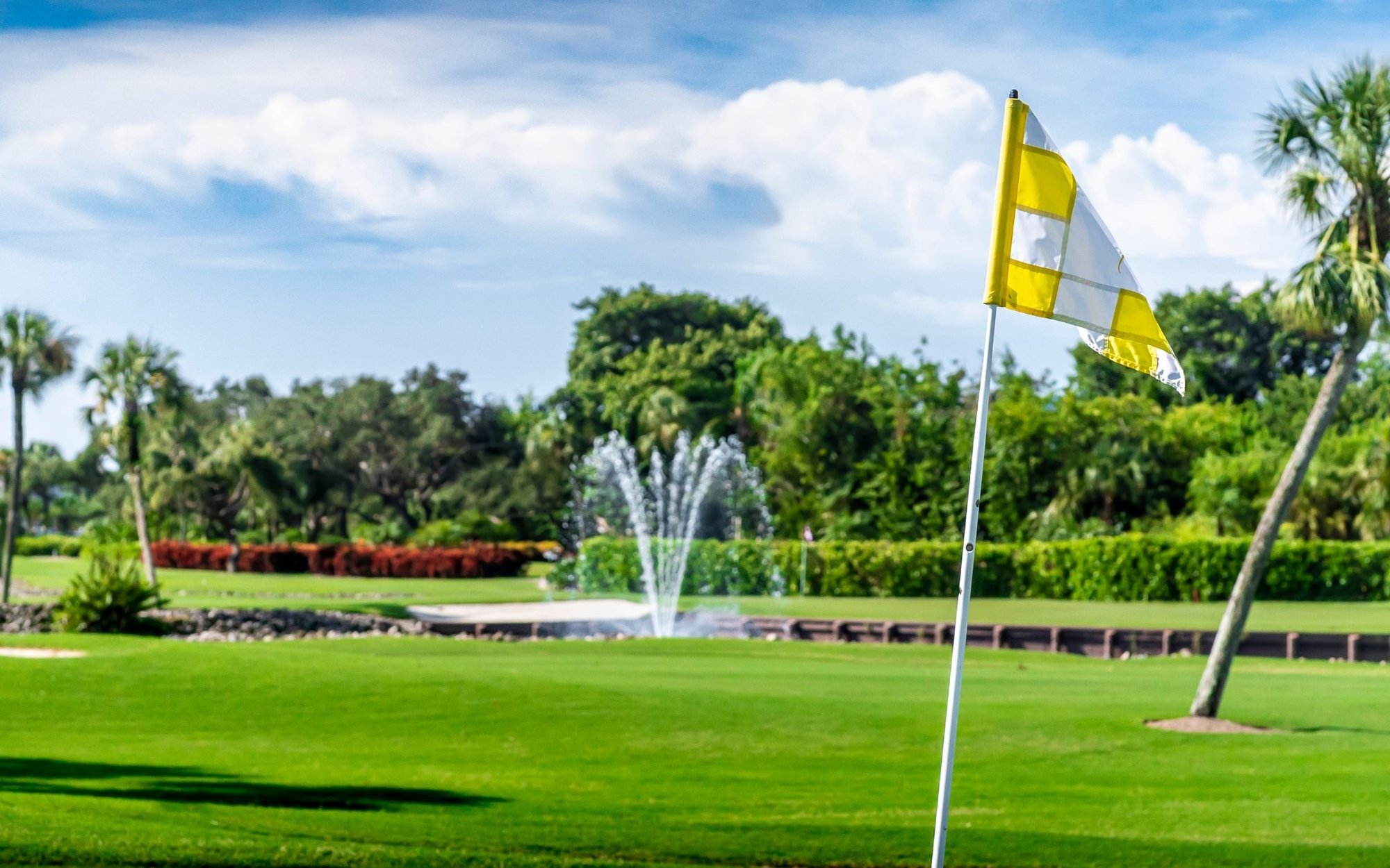 golf course golf course